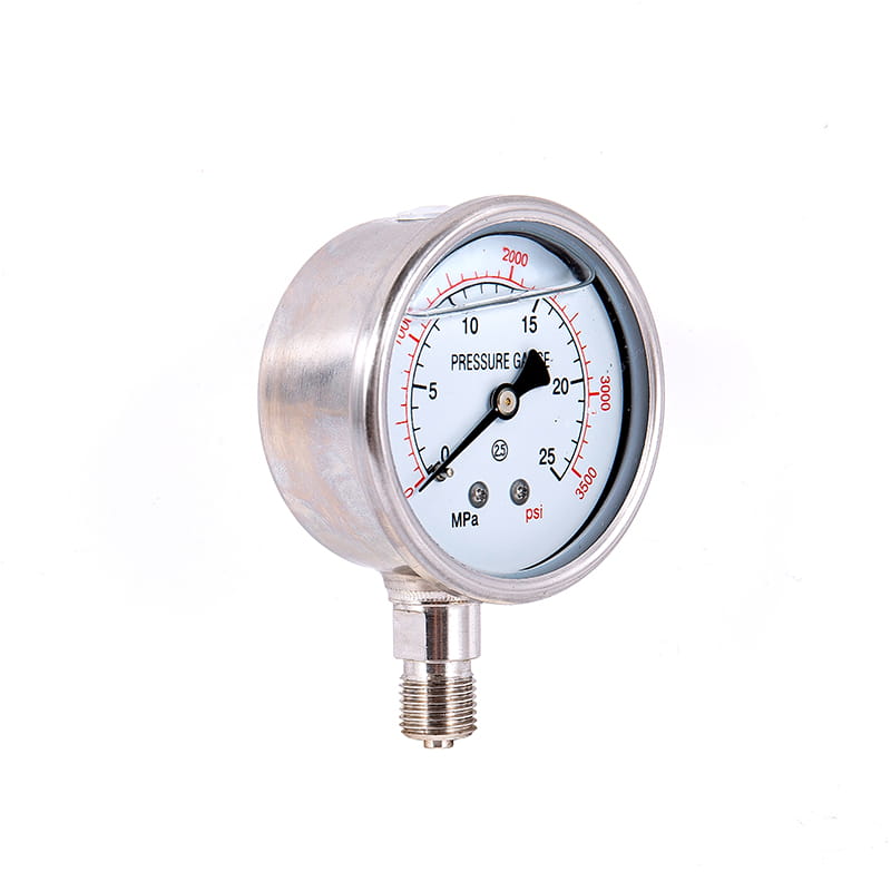 Gauge de pression absolue de la série YJY Gauge de pression absolue de la série YJY